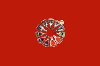 衡阳市石鼓回收红酒